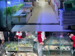 -青石桥花鸟鱼虫市场(叠翠城店)