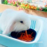 看这里，杭州儿童必来的宠物乐园