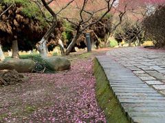 -白塘生态植物园