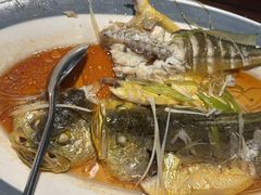 -前海沿·青岛菜(五四广场永旺店)