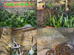 -呀诺达热带雨林