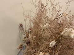 -黑龙江大学