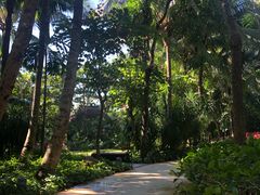 -三亚湾海居铂尔曼度假酒店