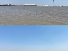 -上海吴淞炮台湾国家湿地公园