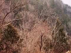-北京鹫峰国家森林公园