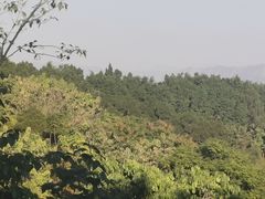 -攀枝花公园
