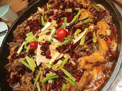 -老板恋上鱼(印象城店)