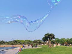 -南通洲际绿博园