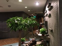 -皇茶会(泰鹏大厦店)