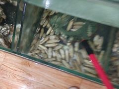 -田记自助海鲜饺子