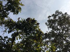 -三水森林公园