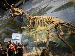 -自贡恐龙博物馆