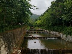 -广州白江湖森林公园