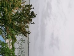-上海滴水湖皇冠假日酒店
