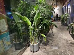 -胡桃里音乐酒馆(四道口店)