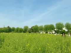 -广富林郊野公园