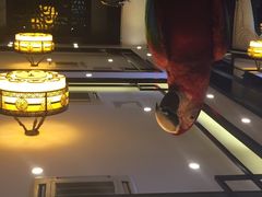 iphone_upload_pic-致美楼(前门店)