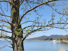 -东钱湖旅游度假区