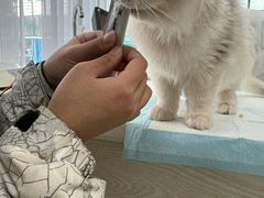 -美美宠物诊疗中心·异宠·骨科(滨江东信分院)