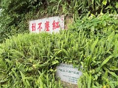 -广州市白云山风景名胜区