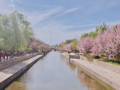 -海棠花溪(元大都城垣遗址公园)