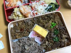 -JR东日本大都会大饭店东京城