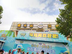 -黄河谷马拉湾海浪浴场