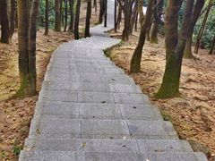 -火炉山森林公园