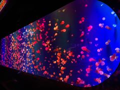 -成都浩海立方海洋公园