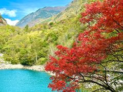 -叠溪松坪沟景区