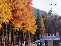 -顺峰山公园