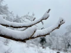 -九峰山