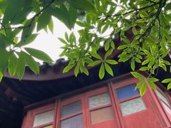 -东山雕花楼