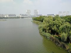 -尚贤河湿地