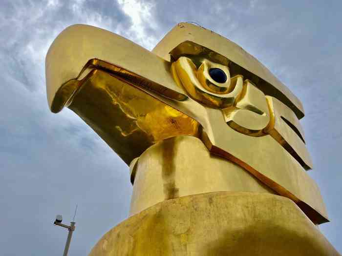 大金鹰园-"中秋晚上想看月亮 刚好要上南山 就决定到.