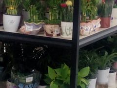 -卜蜂莲花(松江文诚路店)