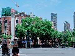-上海音乐学院附属安师实验中学