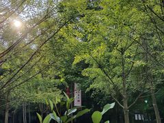 -桂林古东瀑布景区