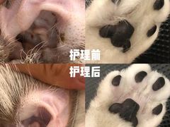 -comecome来吧宠物(奥克斯中心店)