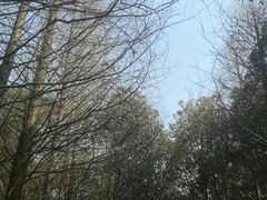 -同里国家湿地公园