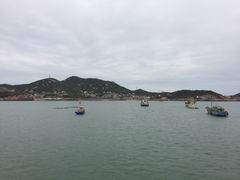 -枸杞岛
