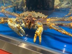 -盒马鲜生(龙德广场店)