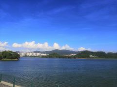 -立新湖公园