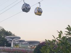 -云溪植物园