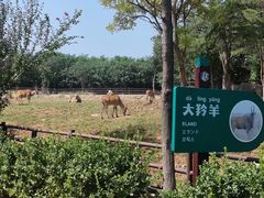 -济南野生动物世界