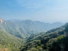 -大岭沟猕猴桃谷风景区