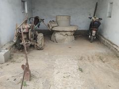 -东方巨龟苑景区