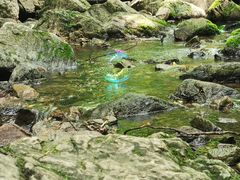 -香炉山国家森林公园