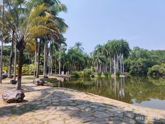 -中国科学院西双版纳热带植物园