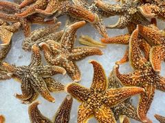 -星海汇海鲜烤肉火锅自助(二七广场百年德化店)
